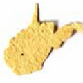 Seed Paper Shape Bookmark - State of West Virginia Style Shape